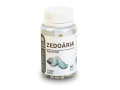 Zedoária Alquimia da Saúde